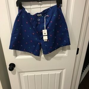 Dash Summer Shorts